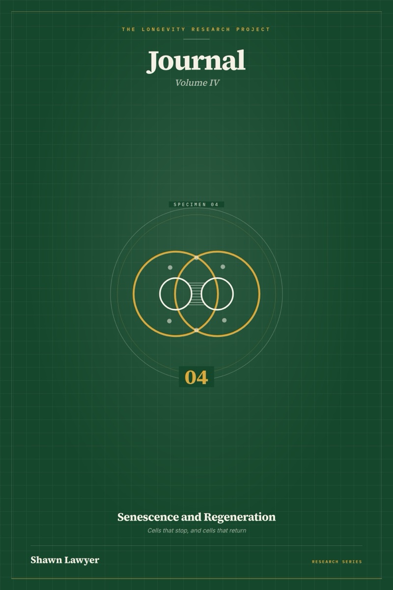 Cover of The Longevity Research Project: Journal, Volume IV — Senescence and Regeneration